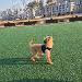 사진 설명