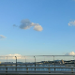 사진 설명