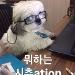 사진 설명